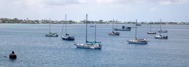 Moorings in the South Mooring Field are owned by three local residents. Photo: Bonny Taggart