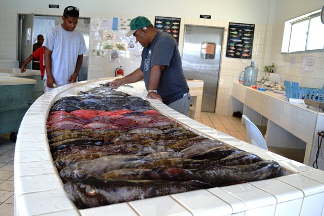 Fresh fish available at the fish market next to Uliga Dock. Photo: Karen Earnshaw