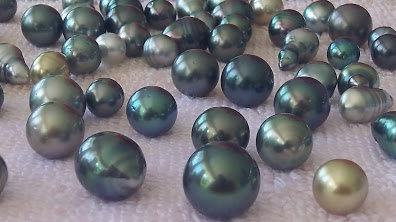 Scenes of the Namdrik Pearl Farm 2. Photo Matt Zackhras