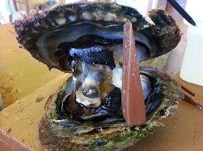 Scenes of the Namdrik Pearl Farm 3. Photo Matt Zackhras