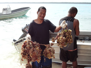 Scenes of the Namdrik Pearl Farm 7. Photo Matt Zackhras