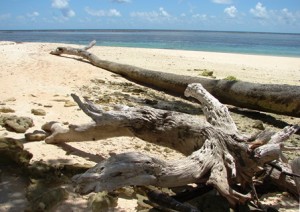 Laura Beach is a great getaway spot at the western end of Majuro. Photo: Karen Earnshaw