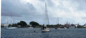 The southern mooring field with Uliga dock to the left and EZ Price Mart to the right. Photo: Westward II.