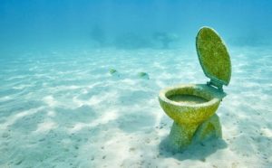 toilet under the sea
