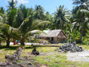 A traditional house on Maloelap. Photo: Lanny and Ginger on SwiftSure.
