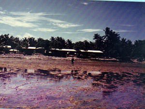 Low tide in Majuro in the 1970s.