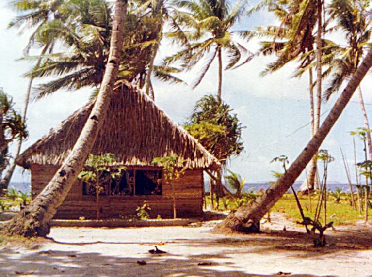 Do you know where this thatched house was located?