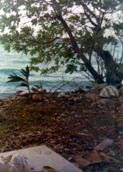 The clam shell at Gary's house.