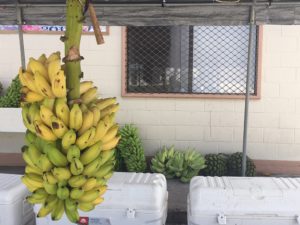 Bananas and fish are available every shopping day at MISCO Market. Photo: Karen Earnshaw