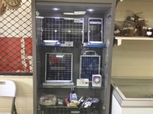 Clever gadgets to light up people's lives are available at MISCO Market. Photo: Karen Earnshaw