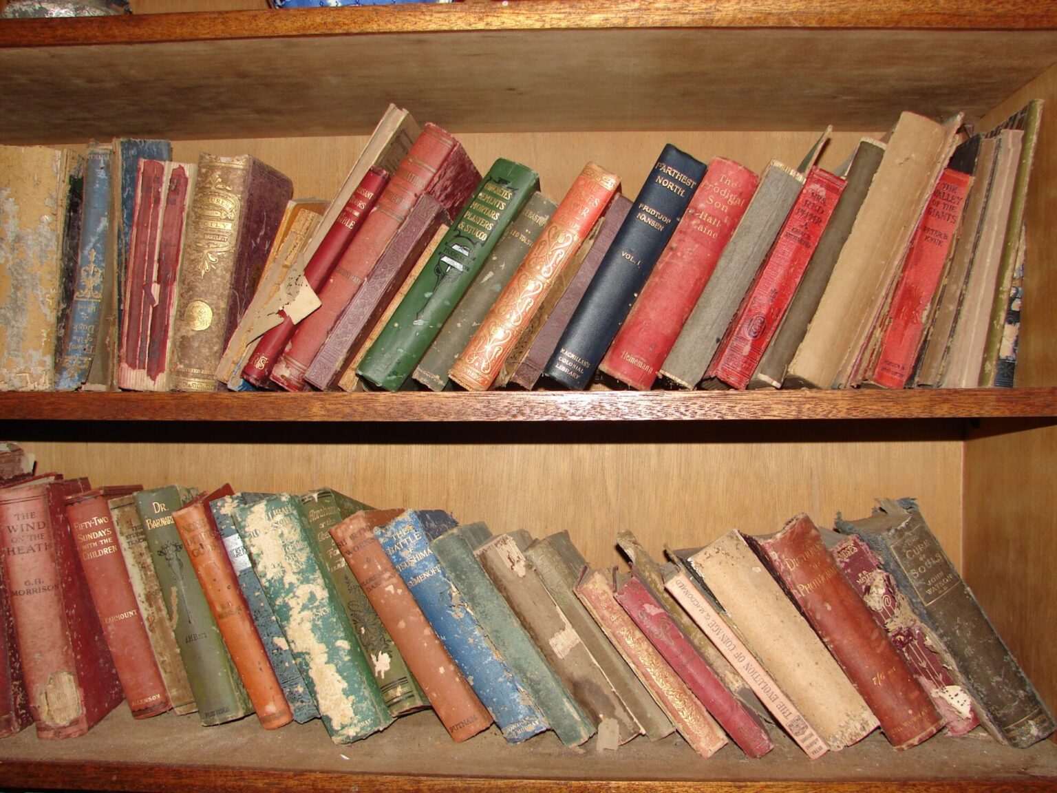 The Prodigal Son and other tales in the bookcase. Photo: Karen Earnshaw