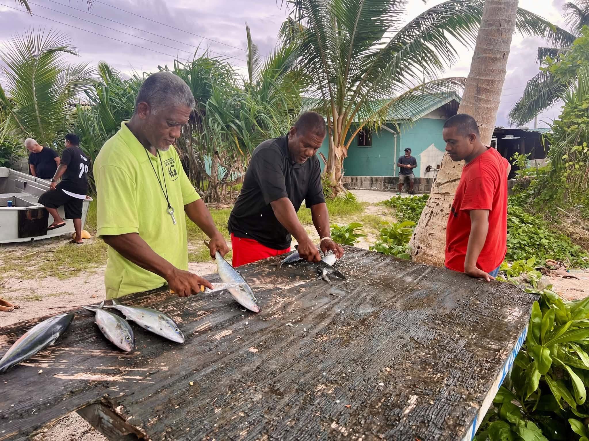 Kili Island, Christmas 2025 — cleaning freshly caught fish under palm trees
