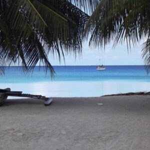 A canoe nestles next to a tree on a Lae beach. Photo: Kevin Battams-Akast