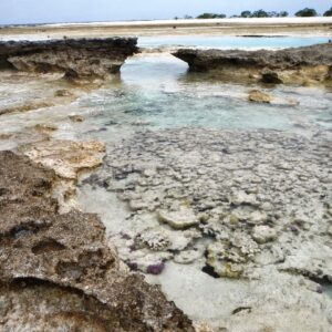Low tide between islets at Bikar. Photo: David Kane