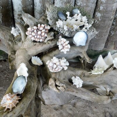 A pretty display outside the Eneko cookhouse. Photo: Karen Earnshaw