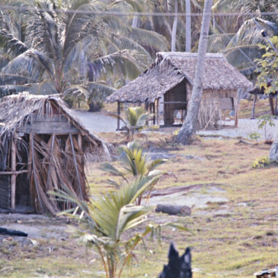Dave Moss thatched houses feature