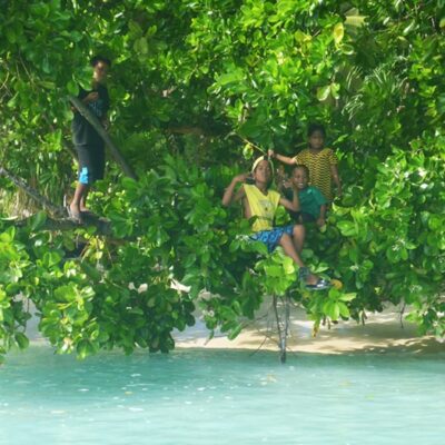 A kid-friendly tree on Maloelap. Photo: Lanny and Ginger on SwiftSure.