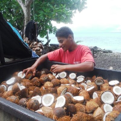 A copra farmer in northwest Mili.