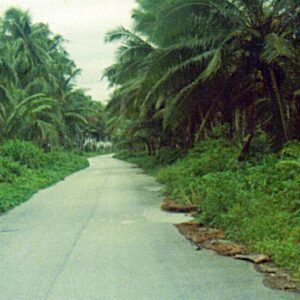 The long and winding road to Laura in 1976.