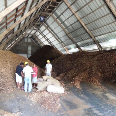 The huge warehouse at the Tobolar Copra Plant.