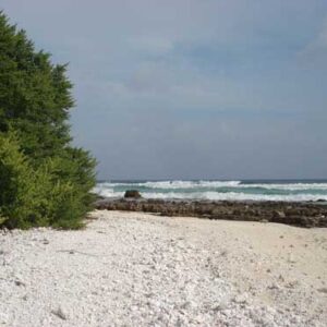 The relentless rollers off Ailinginae Atoll.