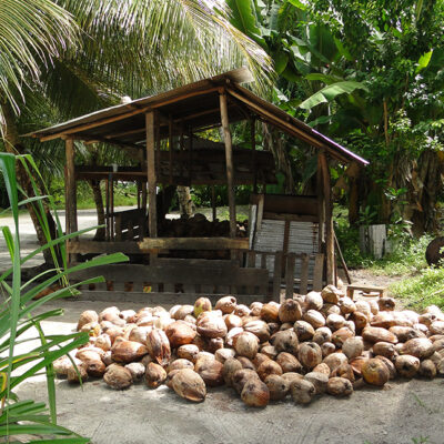 Arno copra shed. Photo: Karen Earnshaw