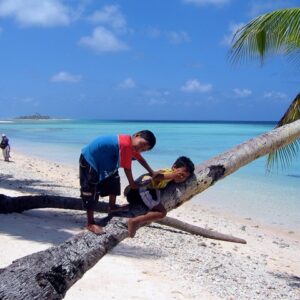Children become extremely adept at climbing trees. This one on Aur Atoll is the 'beginner's slope'. Photo: David Mancini