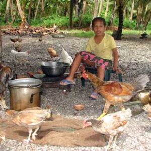 A young girl sits in her family’s cooking area surrounded by chickens.