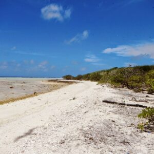 A northern islet of Bikar atoll. Photo: David Kane