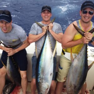 Triple treat on Wasabi. Photo: Cary Evarts