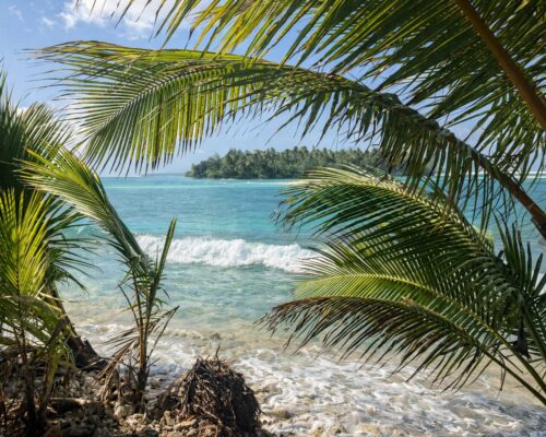 Enemanet Island looking to the west. Photo: Karen Earnshaw