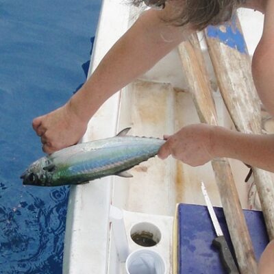 De La Mer admiral Kathy Hutton prepares the fish. Photo: Karen Earnshaw