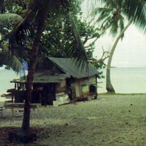 Do you know where this thatched house was located?