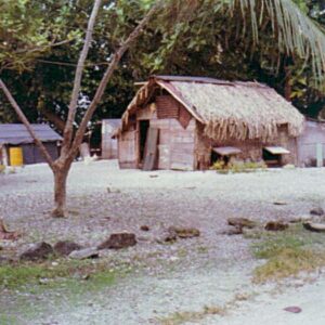 A simple thatched house.