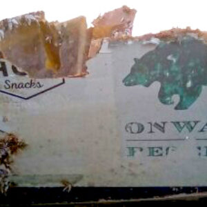 Partof the wrecked hull of Dream Maker on the Likiep reef. Photo: Junior deBrum.