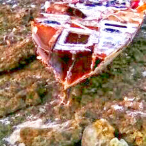 The ravaged hull of the rowing boat on Likiep. Photo: Junior deBrum.