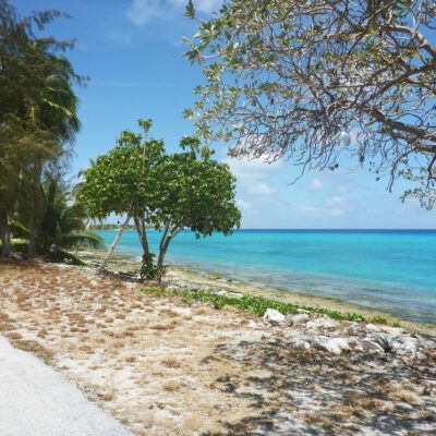 The shoreline at Rongelap. Photo: Lanny and Ginger of SwiftSure.