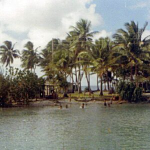 Swimming in the lagoon.