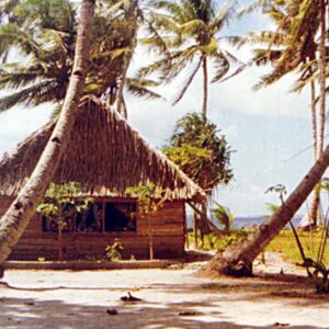Do you know where this thatched house was located?
